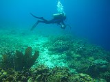 Curacao 04-12 532